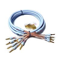 Supra Cables XL ANNORUM BIWIRE COMBICON 2x2M