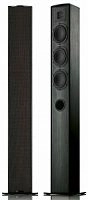 Piega TMicro 60 AMT Black