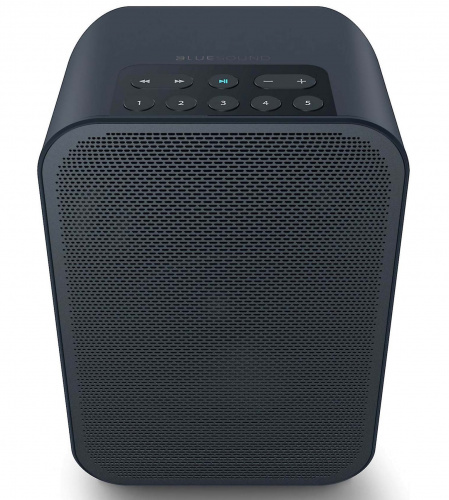 Bluesound PULSE FLEX 2i Wireless Streaming Speaker Black фото 2