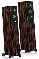 Audio Physic CODEX ebony