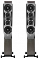Dynaudio Confidence 60 Smoke High Gloss