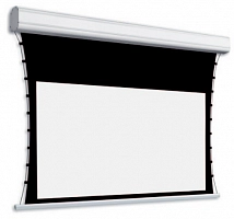 Adeo Professional tensio clas VisionAcoustik 139" 308x174 ed.45см (16:9)