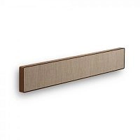 Bang & Olufsen BeoSound Stage Bronze