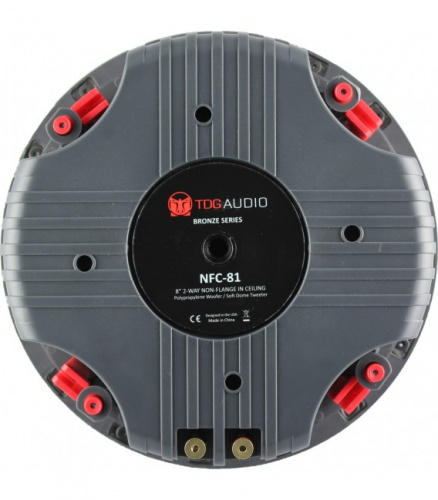 TDG Audio NFC-81 WHITE фото 3