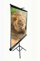 Elite Screens T85UWS1 85" (1:1) 152,4x152,4 MaxWhite