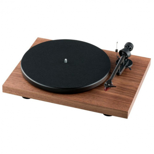 Pro-Ject Debut Carbon EVO 2M-Red + Kanto YU4 Wood фото 4