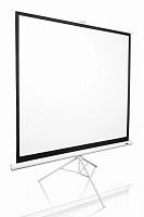 Elite Screens T85NWS1 85" (1:1) 152.4 х 152.4 MaxWhite