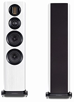 Wharfedale EVO 4.3 White Oak