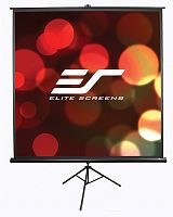 Elite Screens T136UWS1 136" (1:1) 243.82x43.8 MaxWhite