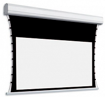 Adeo Professional tensio clas Ref. White 117" 258x145 ed.45см (16:9)