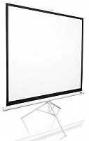 Elite Screens T113NWS1 113" (1:1) 203.2 х 203.2 MaxWhite