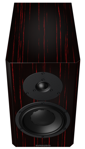 Dynaudio Special Forty Black Vine High Gloss фото 6