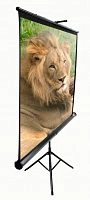 Elite Screens T119UWS1 119" (1:1) 213,4x213,4 MaxWhite