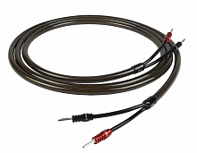 CHORD EpicX Speaker Cable 3m