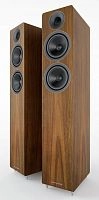 Acoustic Energy AE 309 Walnut wood veneer