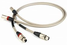 CHORD Epic 2XLR to 2XLR 1m