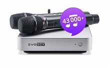 Караоке-система для дома EVOBOX Plus Silver