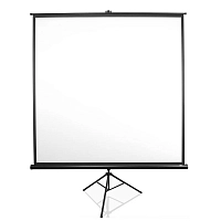 Elite Screens T113UWS1 113" (1:1) 203,2x203,2 MaxWhite