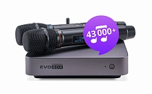 Караоке-система для дома EVOBOX Plus Graphite
