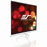 Elite Screens T119NWS1 119" (1:1) 213,4x213,4 MaxWhite