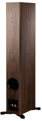 Dynaudio Evoke 50 Walnut Wood фото 2