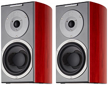 Audiovector R1 Signature African Rosewood