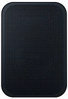 Bluesound PULSE FLEX 2i Wireless Streaming Speaker Black