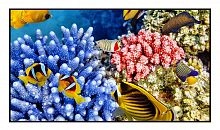AVscreen BX-SM120BFH-AK (16:9;120") 4K Flexible White; Gain:1.3, Best viewing angle (2α):160