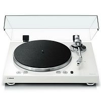 Yamaha TT-N503 White